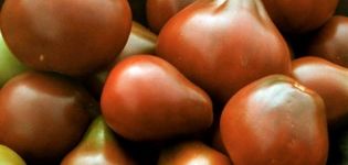 Charakteristiky a opis odrody paradajkovej čiernej hrušky