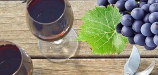 6 žingsnis po žingsnio receptai, kaip namuose gaminti vyną iš „Isabella“ vynuogių