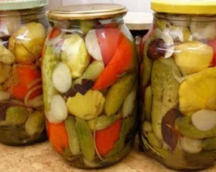 Jak vařit zeleninovou zahradu ve sklenici s rajčaty, zelím, paprikou a mrkví bez sterilizace na zimu