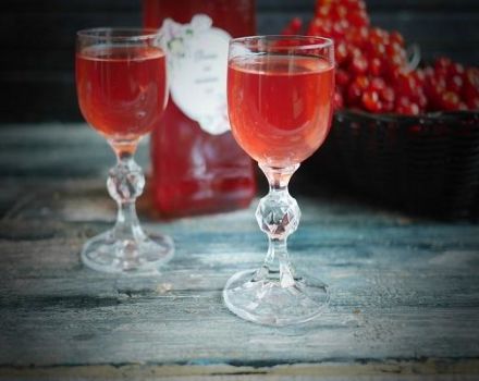 9 einfache Rezepte für die Herstellung von Wein aus Viburnum zu Hause