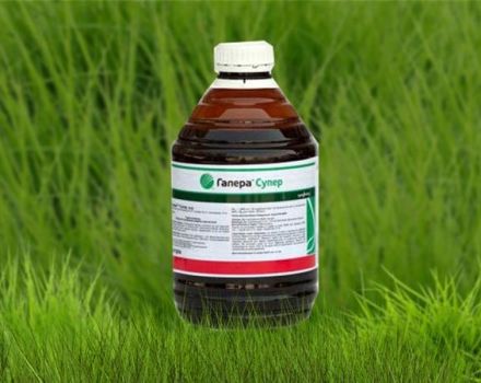 Herbicido „Galera“ naudojimo instrukcijos, veikimo mechanizmas ir suvartojimo normos