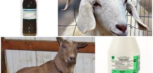 Hoe geiten te behandelen met Tympanol en instructies voor gebruik, dosering en analogen
