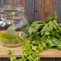TOP 10 chutných receptov na prípravu zeleru na zimu doma