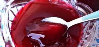 TOP 10 paprastų receptų, kaip gaminti vyšnių želė žiemai