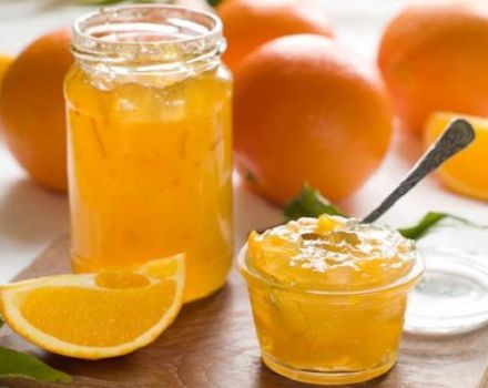 Recept na výrobu meruňkového džemu s pomeranči na zimu