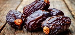 How to determine the presence of worms in dates, and whether they are dangerous, the rules for choosing a product