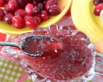 TOP 7-recept för att tillverka lingonberry sylt för vintern