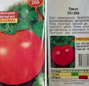 Opis odrody paradajok Fairy Tale a jej vlastnosti