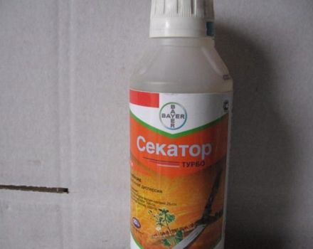 Instructions for the use of the herbicide Secator Turbo, description of the drug and dosage