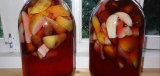 Ett enkelt recept för äpplekompott och plommon för vintern