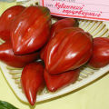 Sorter, egenskaper och beskrivningar av pepparformade tomatsorter, deras utbyte och odling
