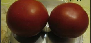 Charakteristiky a opis odrody paradajok Spiridon