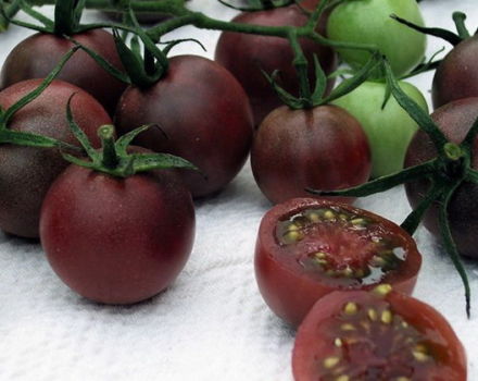 Caractéristiques et description de la variété de tomate chocolat