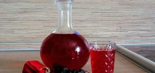 Een eenvoudig recept om thuis rode en zwarte bessenwijn te maken