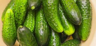 TOP 7 simple and delicious recipes for pickling cucumbers in jars for the winter