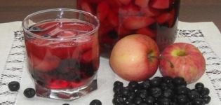9 bedste opskrifter til fremstilling af juice fra ranetki til vinteren