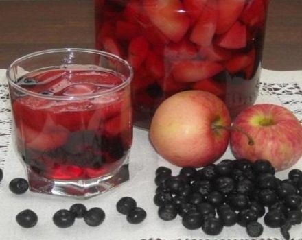 9 legjobb recept a ranetkiből készült gyümölcslé előállításához télen