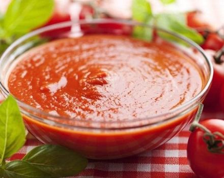 TOP 8-recept för att tillverka tomatsås med äpplen för vintern