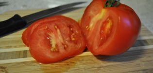 Egenskaper och beskrivning av tomatsorten President, dess utbyte och odling