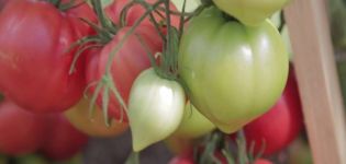 Značajke i opis sorte rajčice Raspberry Empire, njegov prinos
