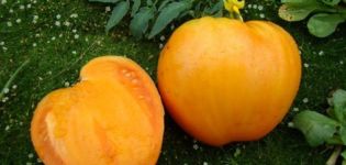 Pomidorų veislės „Medaus milžinas“ charakteristikos ir aprašymas, derlius