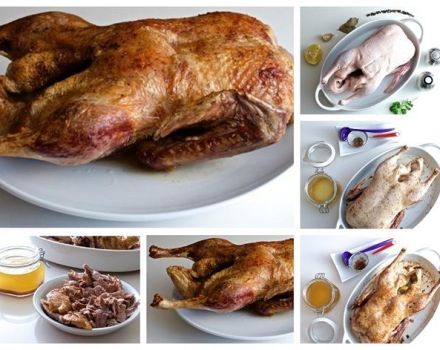 Ako marinovať kačicu a najlepších 9 vynikajúcich receptov