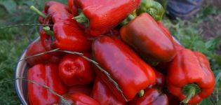 Charakteristika a popis odrůdy papriky kalifornského zázraku a její výnos
