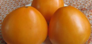 Egenskaper och beskrivning av tomatsorten Gyllene kupoler, dess utbyte