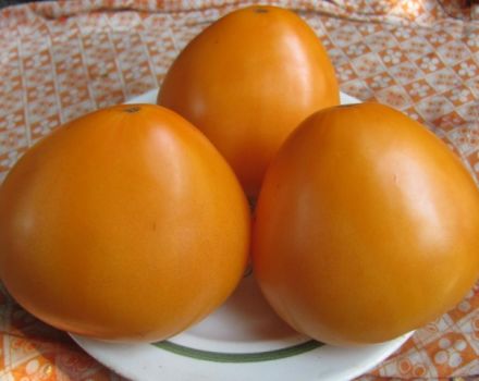 Egenskaper och beskrivning av tomatsorten Golden Domes, dess utbyte