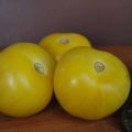 Beskrivning av tomatsorten Gul boll, funktioner för odling och vård