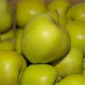 Beskrivning och sorter av Golden Delicious äpplen, odling och vårdregler