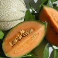 Kodėl melionai gali turėti apelsinų minkštimą, kokios jų veislės?