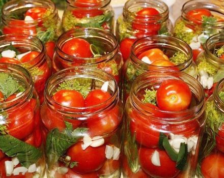TOPP-3 recept för att laga mat kryddiga tomater för vintern