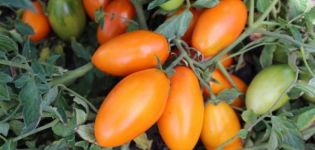 Caractéristiques et description de la variété de tomate Golden Stream, son rendement