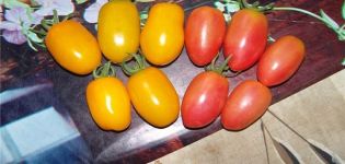 Pomidorų veislės „Honey Candy“ charakteristikos ir aprašymas