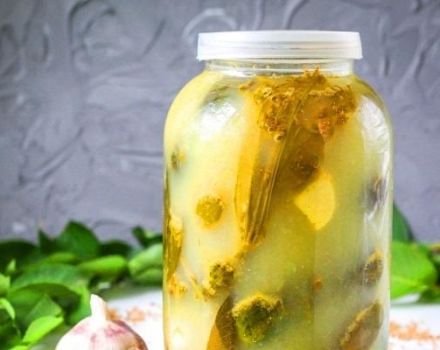Ett steg-för-steg recept för inlagda gurkor med senap för vintern i burkar