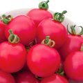 Kenmerken en beschrijving van de tomatenvariëteit Pink Impression, de productiviteit