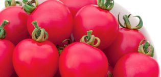 Χαρακτηριστικά και περιγραφή της ποικιλίας ντομάτας Pink Impression, της παραγωγικότητάς της