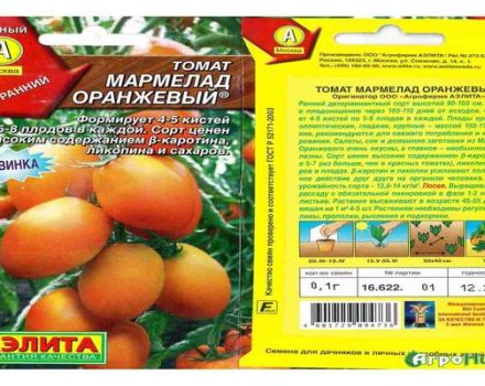 Description et caractéristiques des variétés de tomates Marmelade d'orange