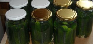 Jednoduché recepty na uhorky so škoricou na zimu bez sterilizácie v pohári