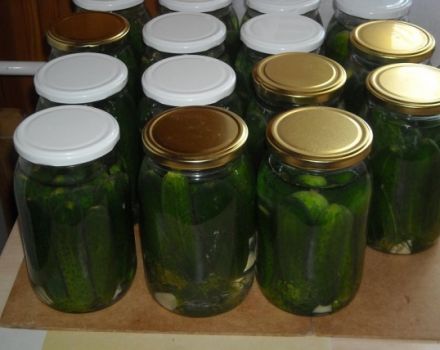 Jednoduché recepty na uhorky so škoricou na zimu bez sterilizácie v pohári