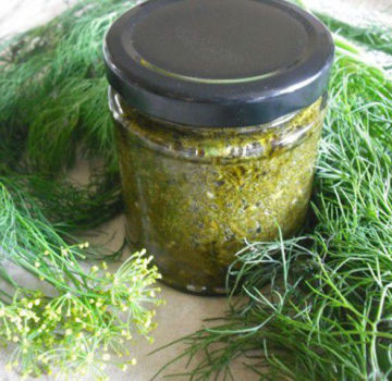 The best recipes for preparing dill for the winter, which is better for preservation, how to preserve the aroma