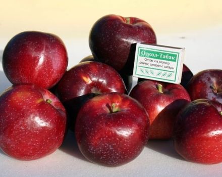 Mô tả và đặc điểm của giống táo Williams Pride, tần suất ra trái và vùng trồng