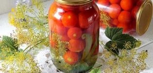 9 công thức tốt nhất để ngâm cà chua với tỏi cho mùa đông trong lọ