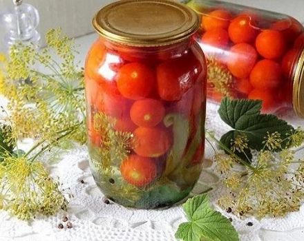 9 najboljih recepata za kiselo rajčice s češnjakom za zimu u staklenkama