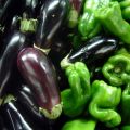Är det möjligt att plantera aubergine och paprika i samma växthus eller öppet fält