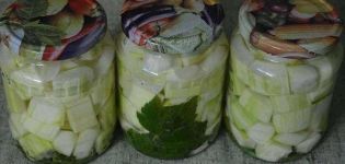 6 omedelbara zucchini-recept för vintern ska du slicka fingrarna
