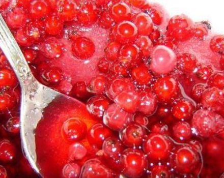 3 populiariausių raudonųjų serbentų uogienės receptų gaminimo žiemai be virimo receptai