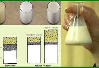 Op welke manieren kun je thuis het vetgehalte van koemelk bepalen