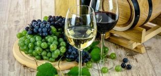 Hogyan készítsünk otthon száraz bort, a legjobb receptek